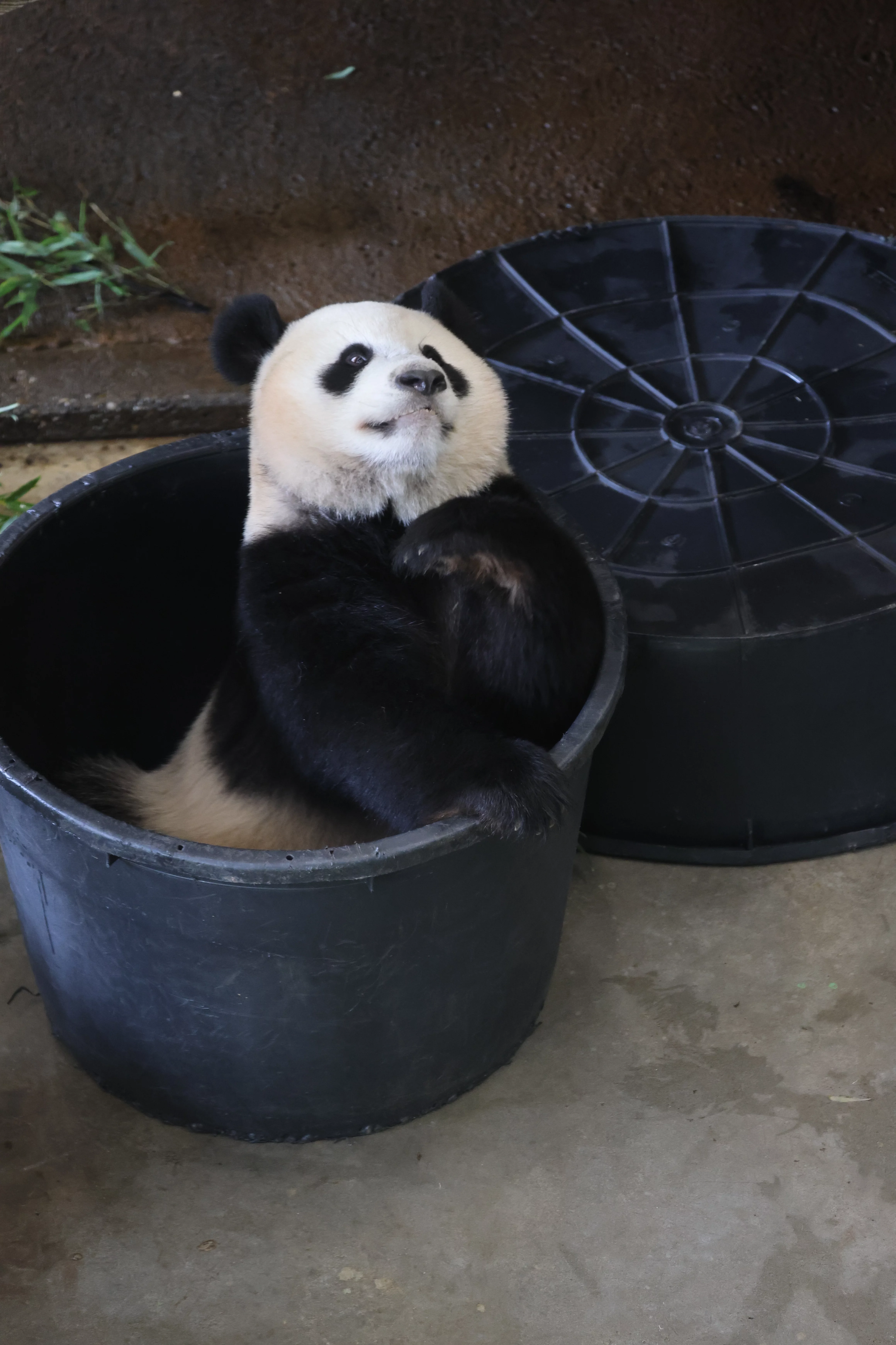 Ouwehands Dierenpark Rhenen