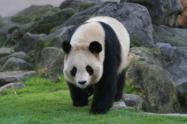 2007-12-16-Adventure-World-Rau-Hin-003-620x413