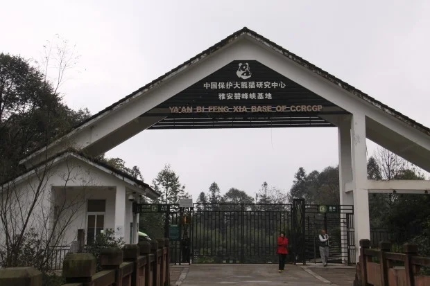 2011-11-15-2011-11-20-Yaan-Bi-Feng-Xia-Base-of-CCRCGP-001-620x413