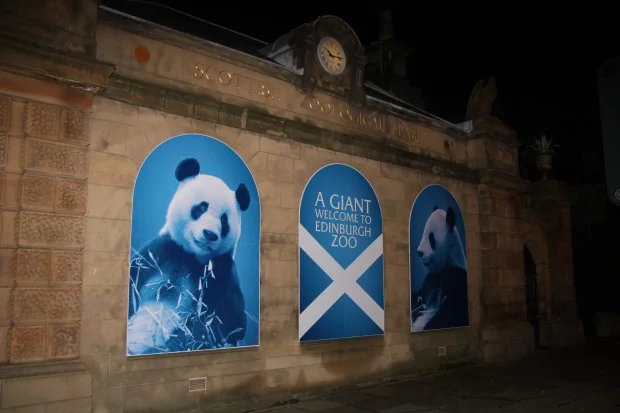 2011-12-14-2011-12-15-Edinburgh-Zoo-003-620x413