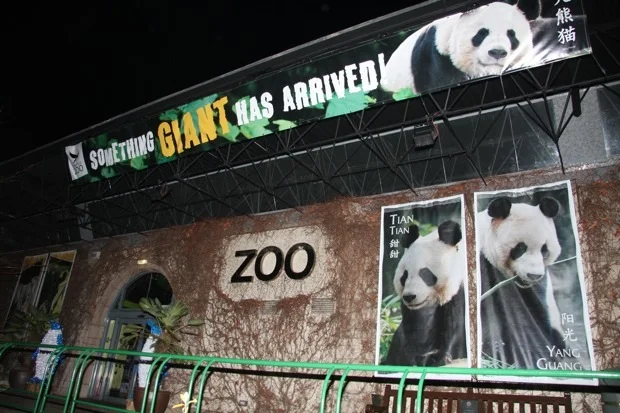 2011-12-14-2011-12-15-Edinburgh-Zoo-014