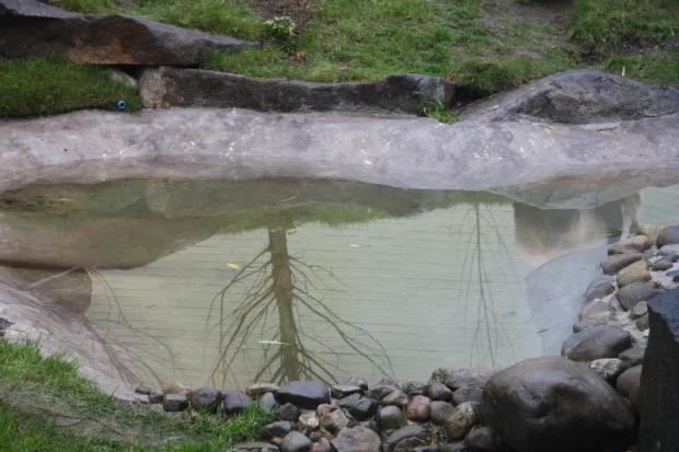 2011-12-15-Edinburgh-Zoo-Tian-Tian-047