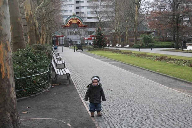 2011-12-28-2011-12-30-Zoo-Berlin-004