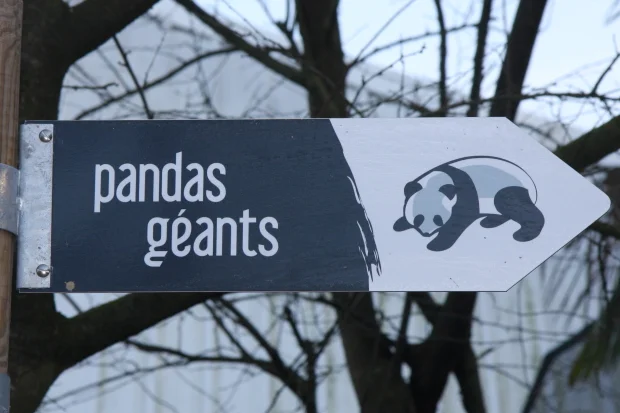 2012-01-16-2012-01-17-ZooParc-de-Beauval-067