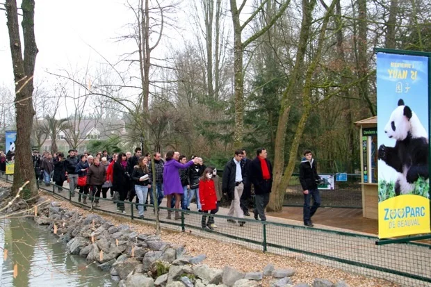 2012-02-18-Ouverture-zone-Chinoise-ZooParc-de-Beauval-007-2