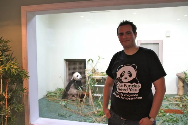2012-10-12-Edinburgh-Zoo-Yang-Guang-002-620x413
