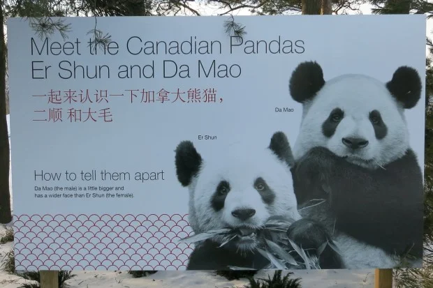 2014-01-23-2014-01-24-Toronto-Zoo-073-620x413