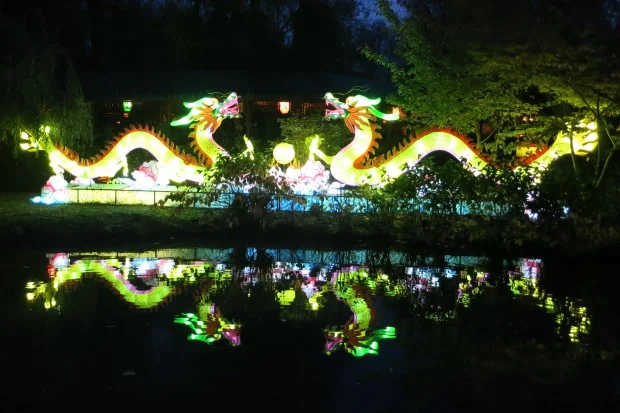 2014-10-26-Pairi-Daiza-Halloween-046-620x413