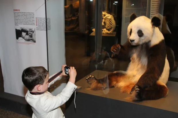 2015-05-22-Museum-fur-Naturkunde-Berlin-019-620x413