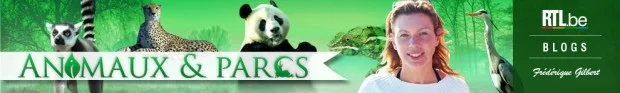 animaux-et-parcs-v2-header-990x150-620x93