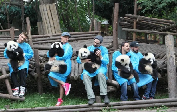 b1311xtylnpanda1-620x394