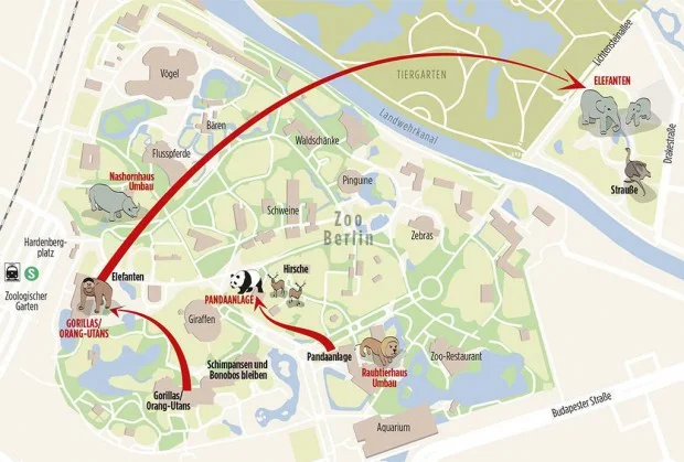 Berlin-New-002-620x419