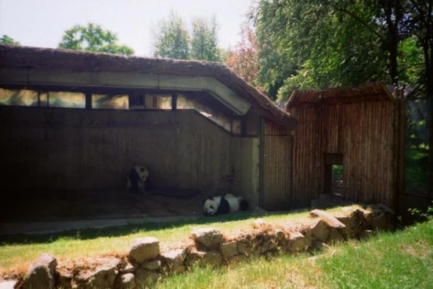 ChangChangChuLin-1994