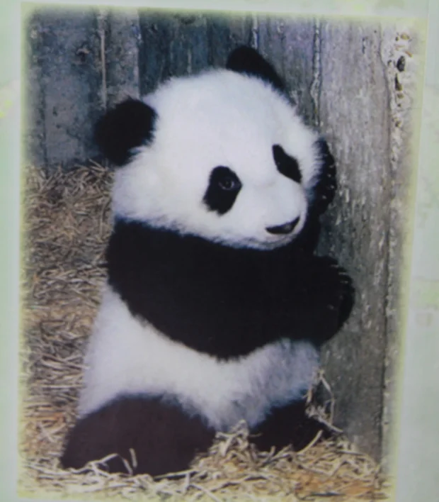 Chu-Lin