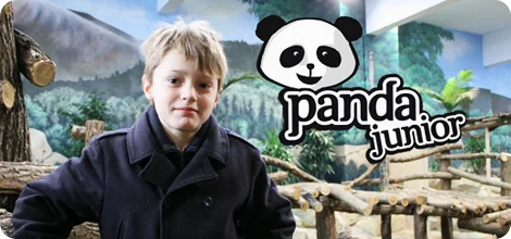 enfant_panda_junior