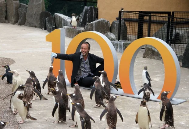 JohnHannah_Penguin100_4_kp_22.07-620x422