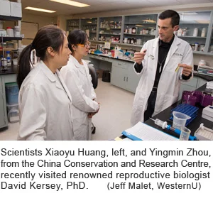 kersey-scientists