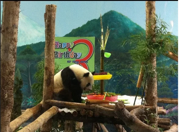 LinPingBirthday2012