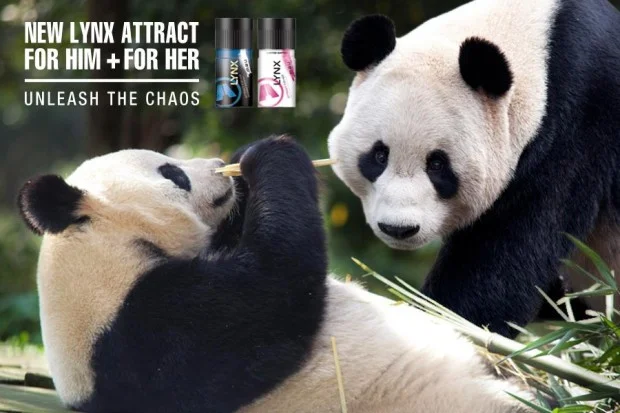LINX_panda-couple-620x413