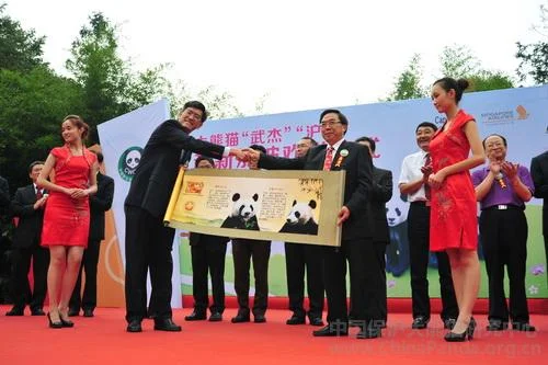 PANDA-1346849024-2