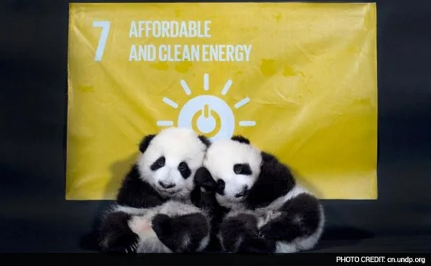 panda-twin-undp_650x400_71445711245-2-620x382