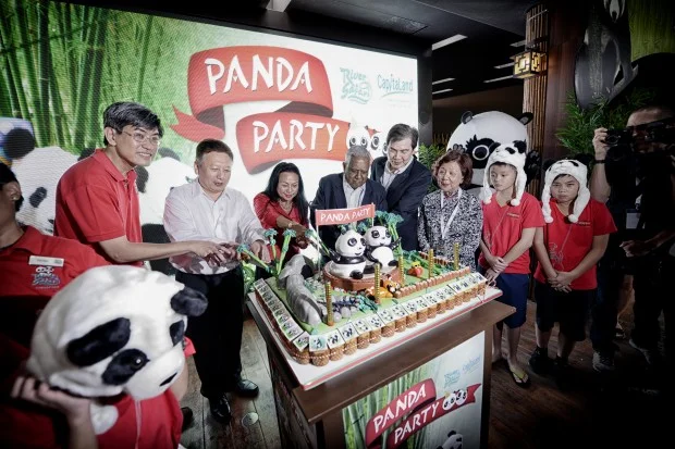 PandaCake-620x413