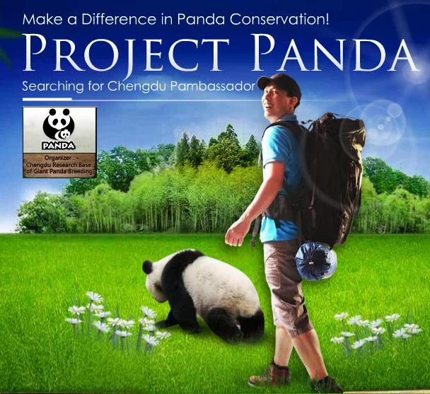 Project-Panda-2