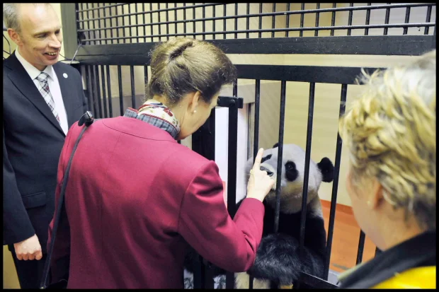 PIC: ROB MCDOUGALL HRH THE PRINCESS ROYAL GETS A BEHIND THE SCENES OPPORTUNITY TO FEED THE UK'S ONLY GIANT PANDAS DURING A VISIT TO EDINBURGH ZOO THIS AFTERNOON. PICTURED IS IAIN VALENTINE, DIRECTOR OF CONSERVATION AND RESEARCH, <a href=
