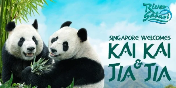 SINGAPORE-620x310